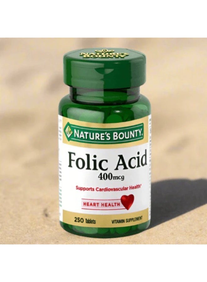 ان بي ناتشرز باونتي حمض الفوليك 400 ميكروغرام أقراص 250 حبة - Image 1